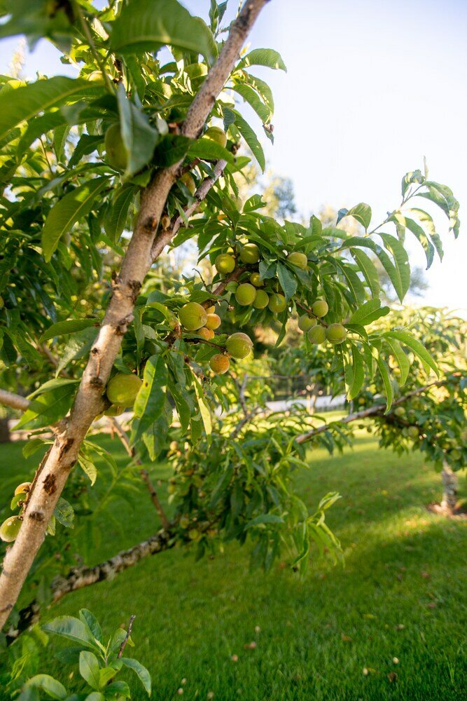 Фото Exclusive Luxury Villa in Sintra