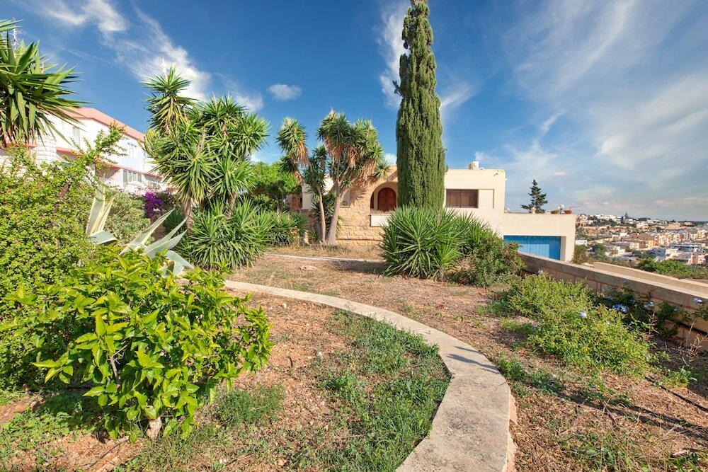 Фото D View 4 You