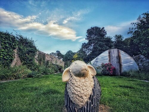 Гостиница The Black Sheep Hostel в Килларней