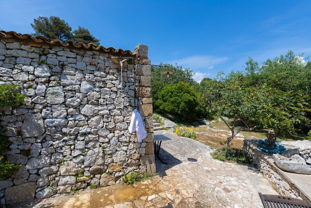 Фото Pajara Rugiada
