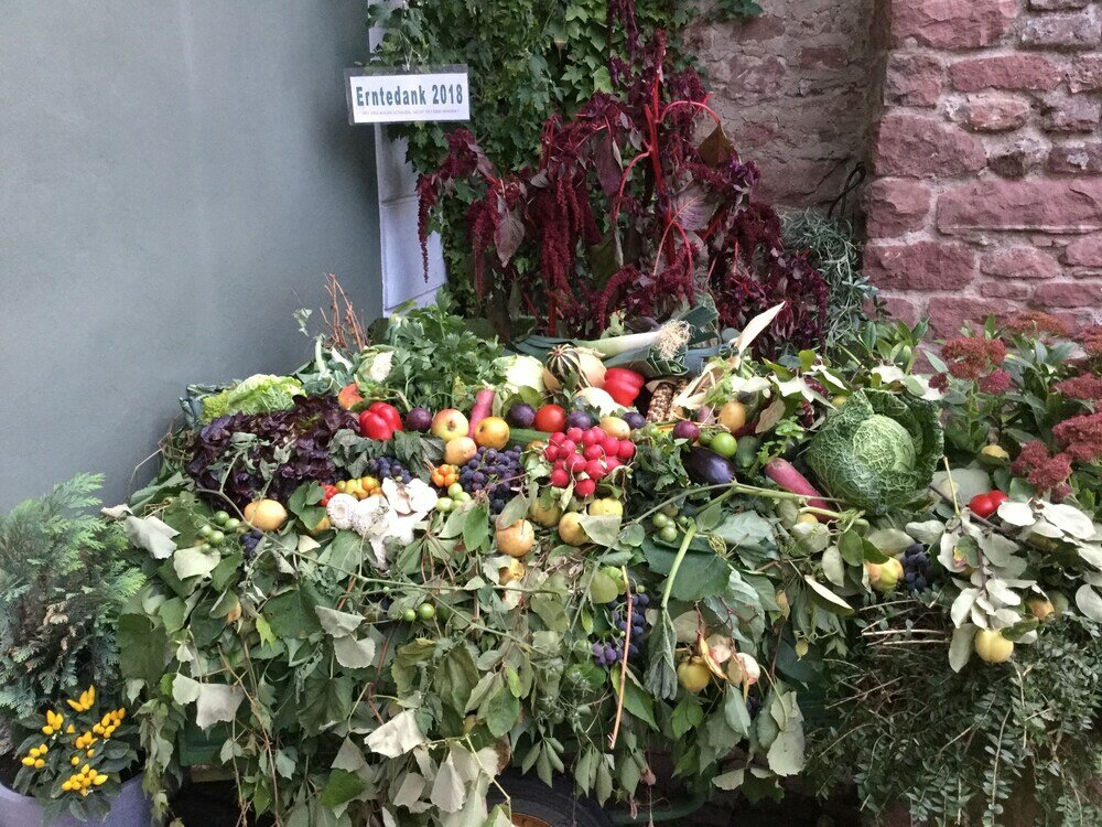 Фото Hotel im Lustgarten