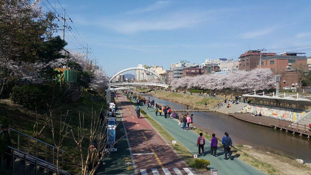 Фото Dadam House