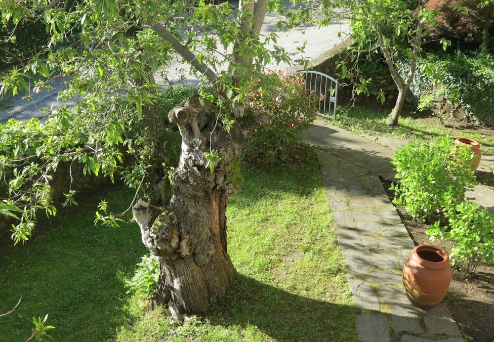 Фото Residence Il Castagno