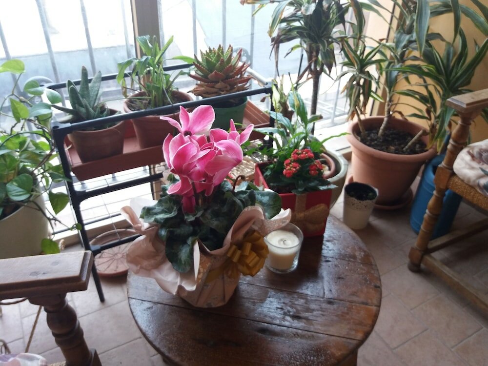 Фото La Maison del Corso B&b