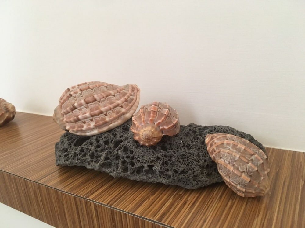 Фото Aluba Hostal