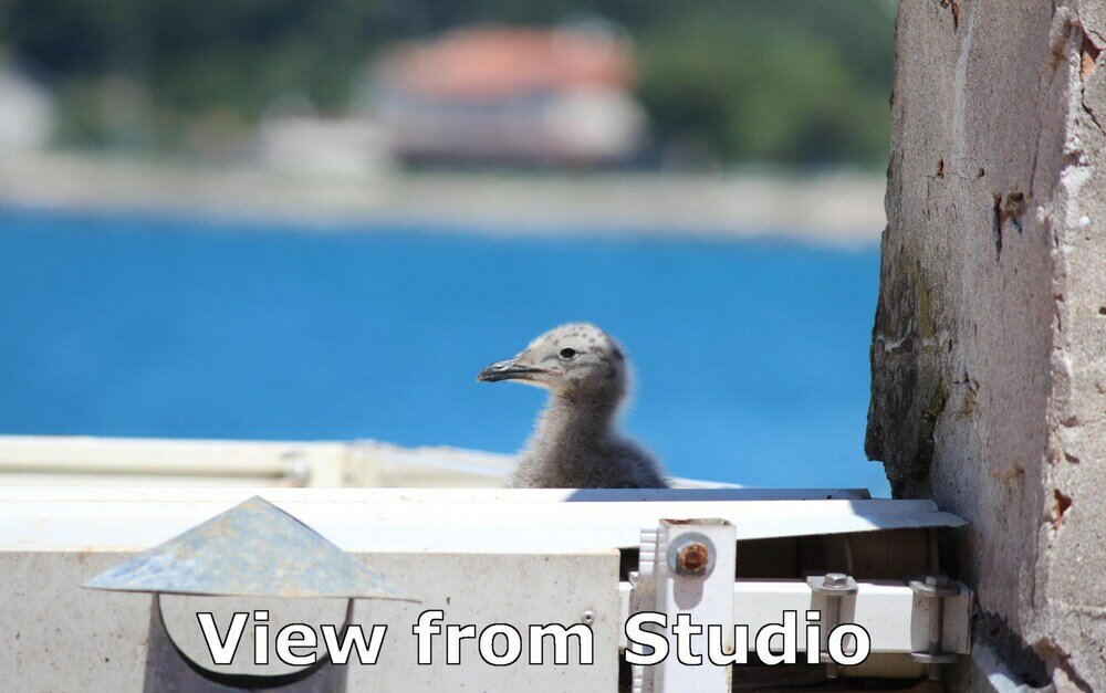 Фото Apartments Tanja