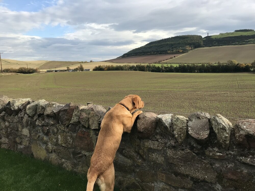 Фото East Cottage, Parbroath Farm Near Cupar in Fife