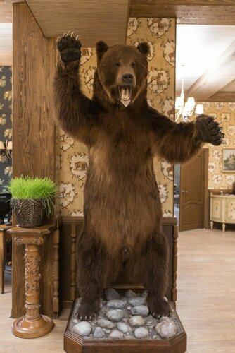 Гостиница Охотничьи сезоны в Пермском крае