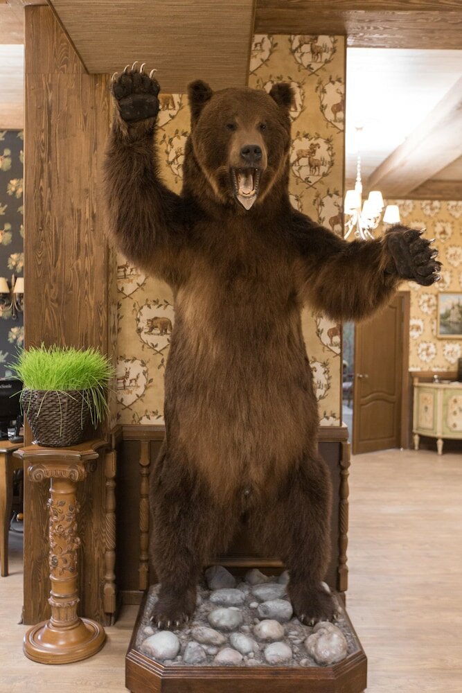 Фото Охотничьи сезоны