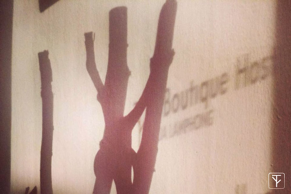 Фото T-Boutique Hostel