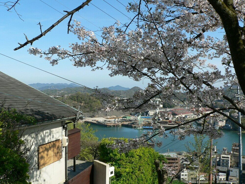 Фото Saka no Kaze