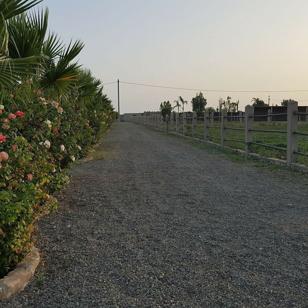 Фото Koheilan Oriental Lodge Farm