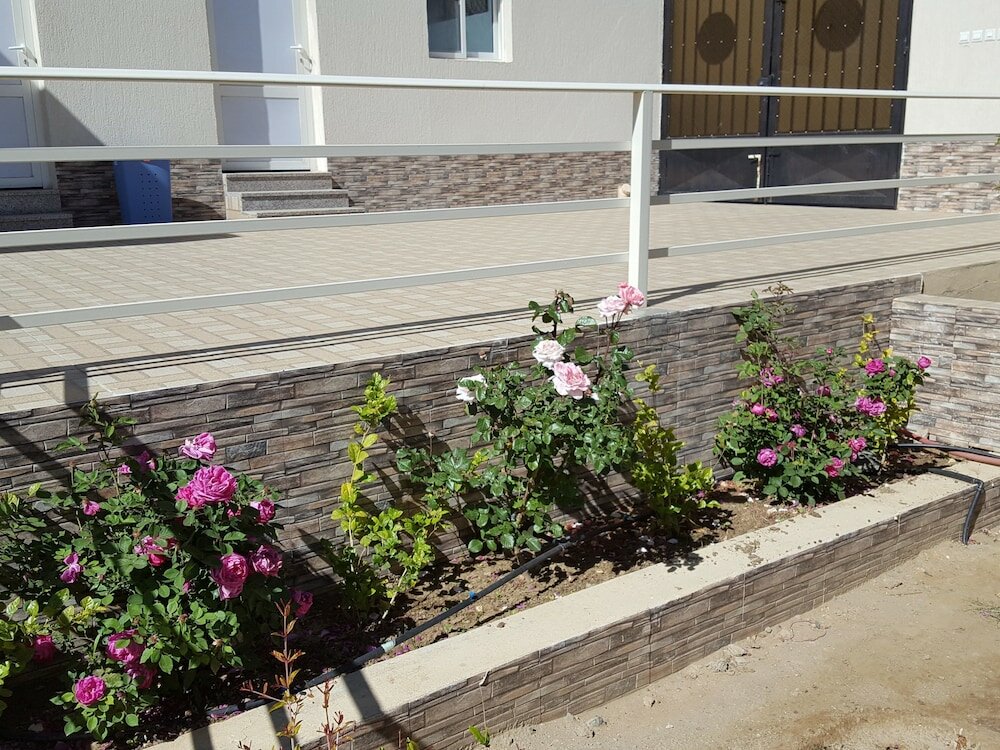 Фото Alestiraha Elegant