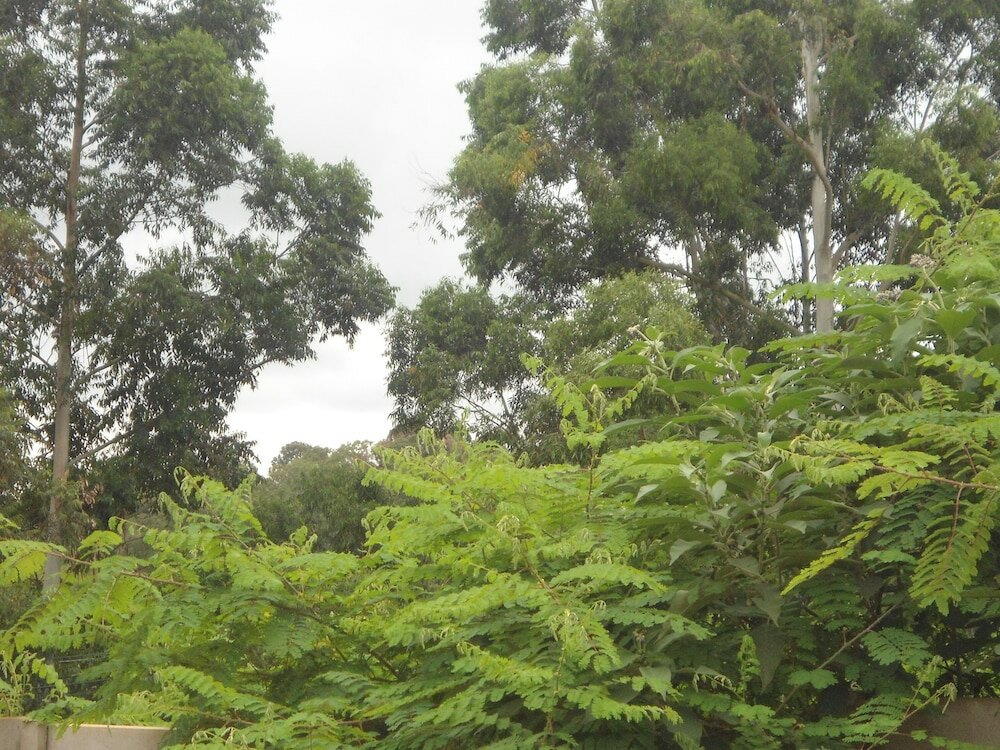 Фото Rhino Rest Camp