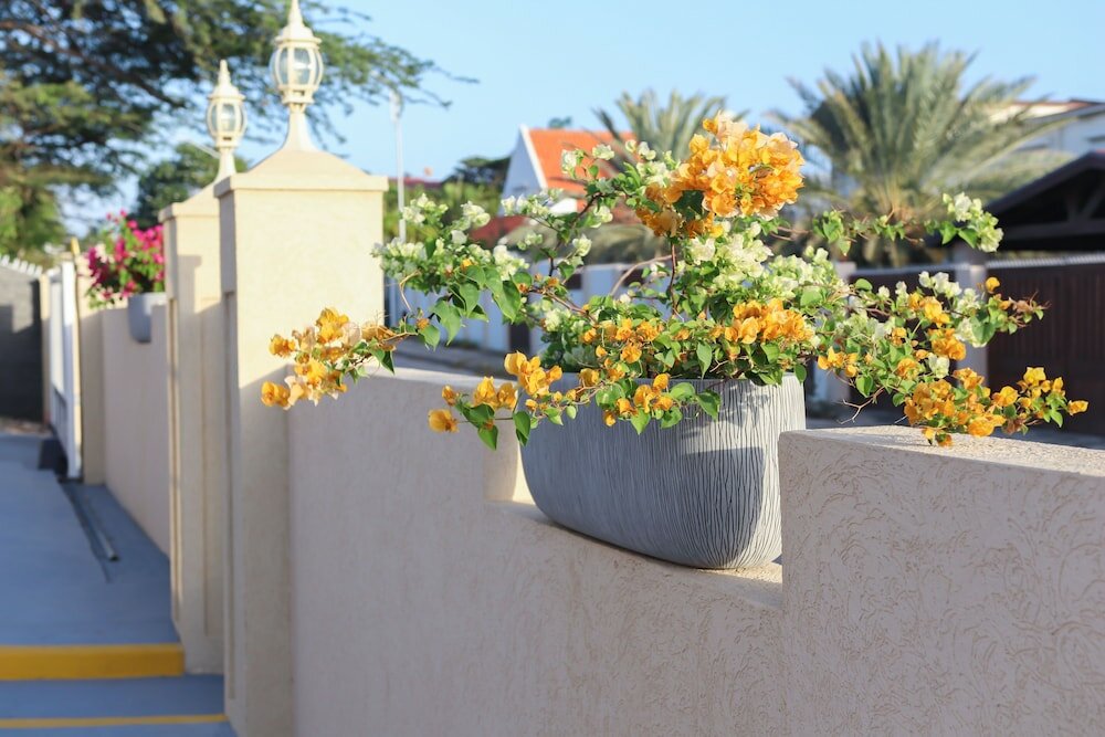 Фото Rh Boutique Hotel Aruba