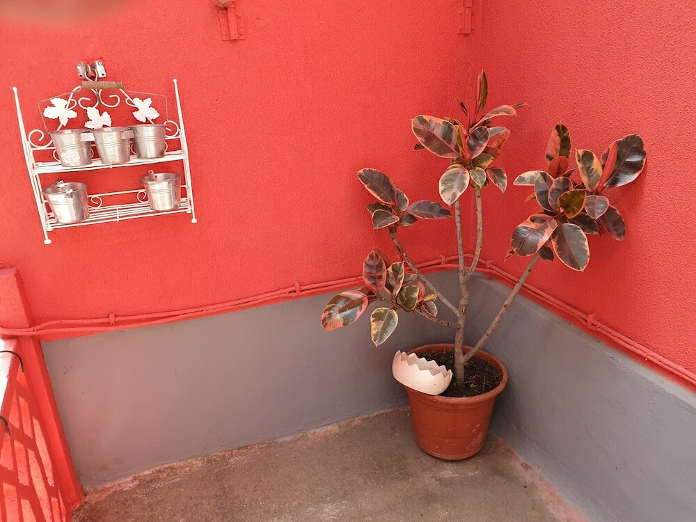 Фото Solar Transmontano