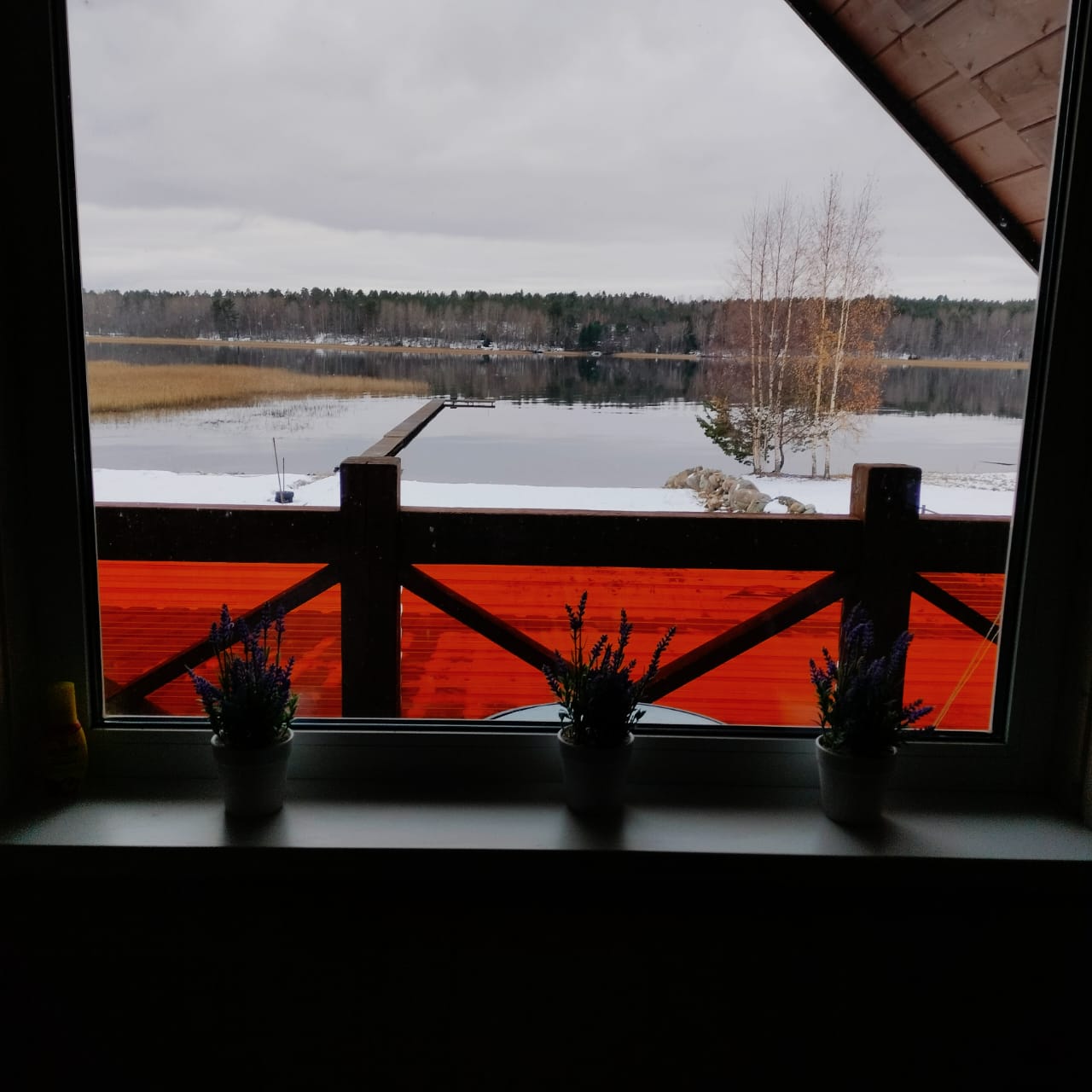 Фото Лахта&Ярви