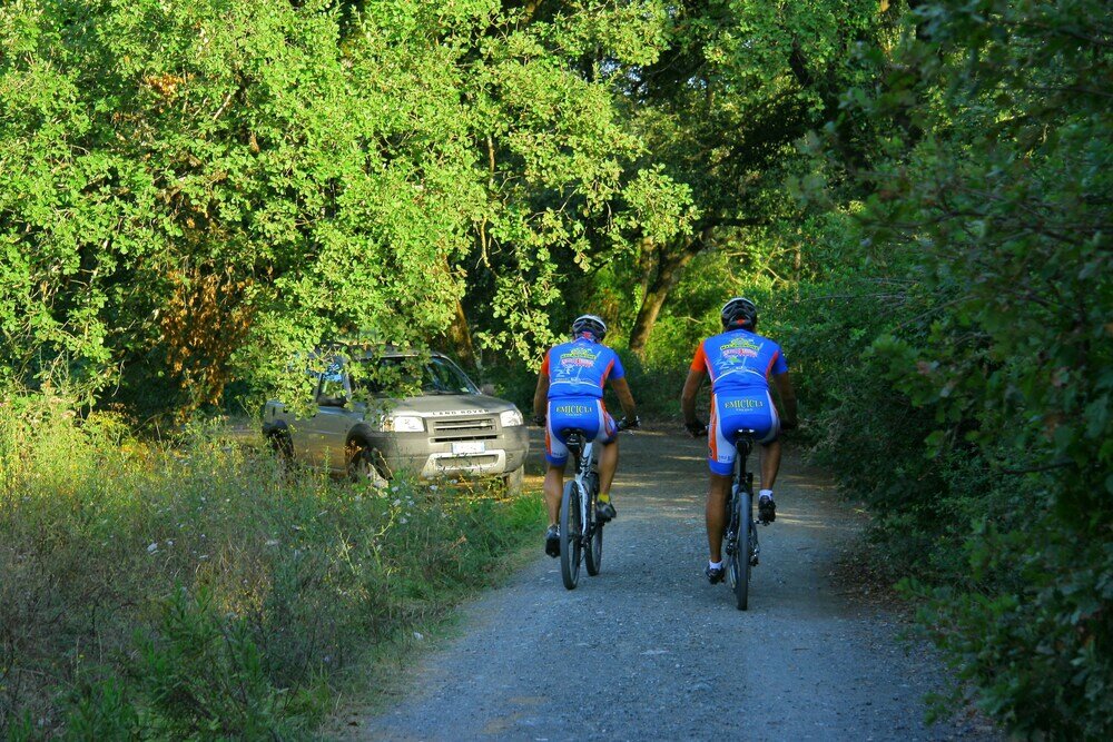 Фото Agriturismo San Tommaso
