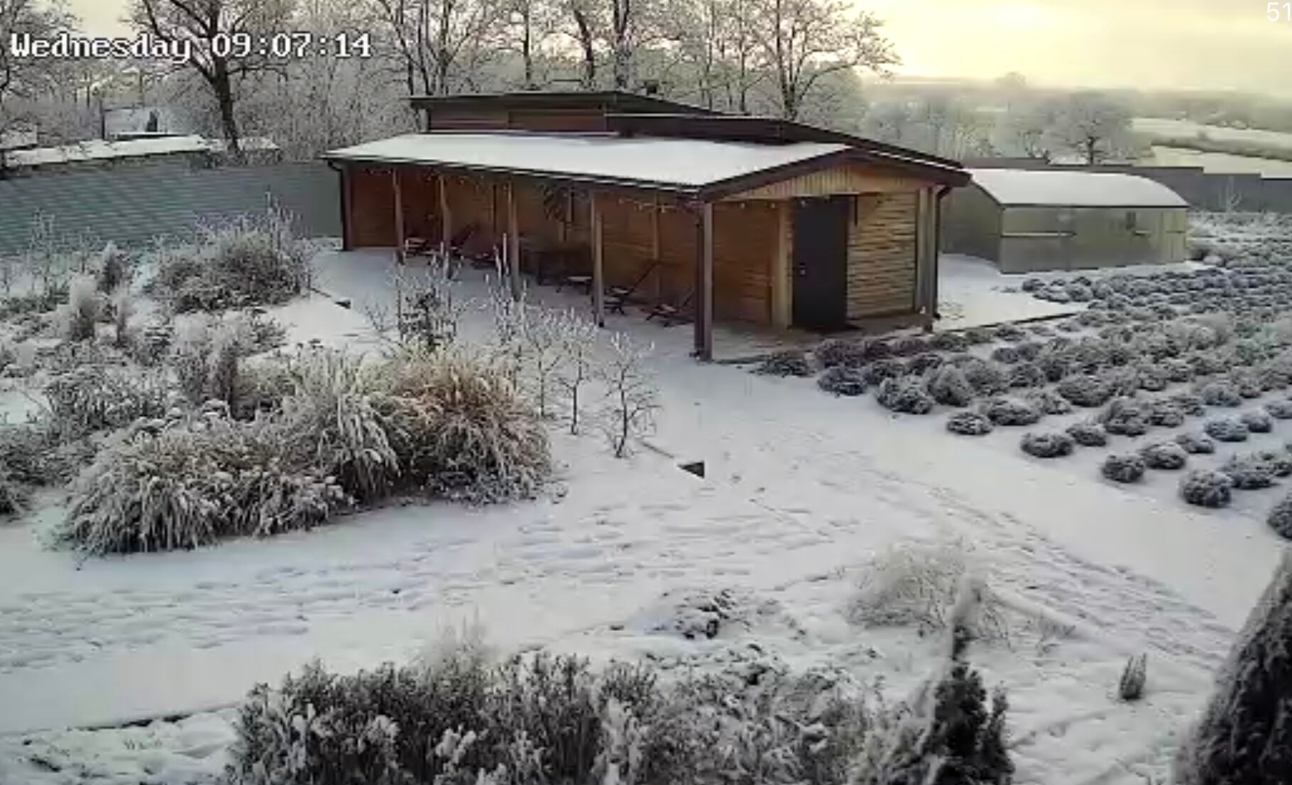 Фото Лавандовые холмы