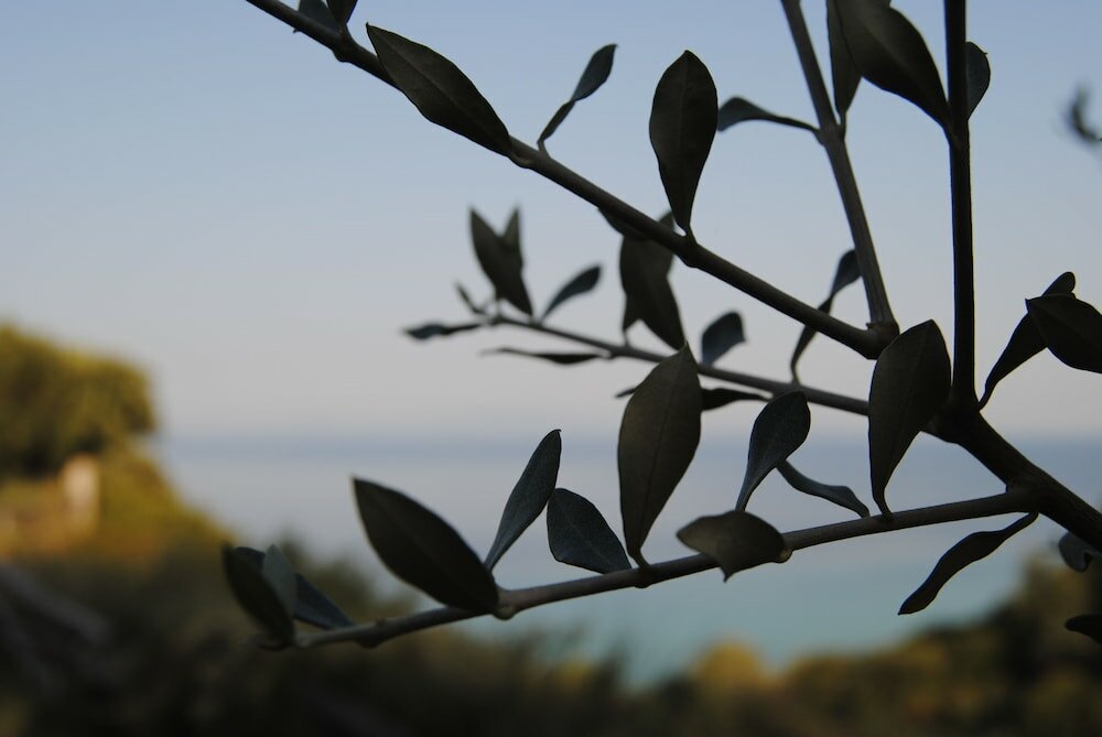 Фото Marianna Apartments