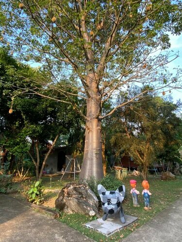 Гостиница Nung Ni Bangkonthi в Провинции Ратчабури