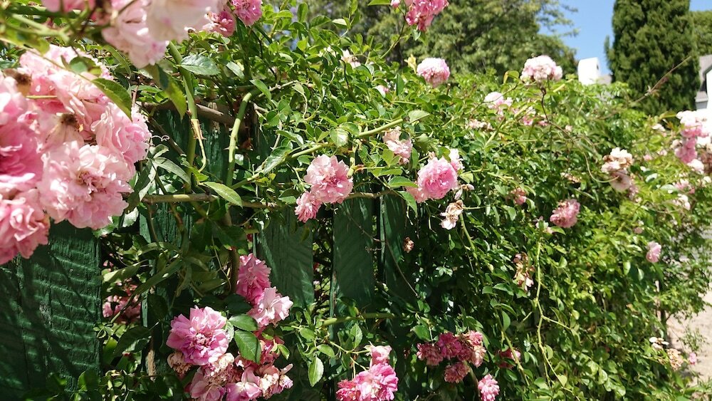 Фото 47 Berg Street