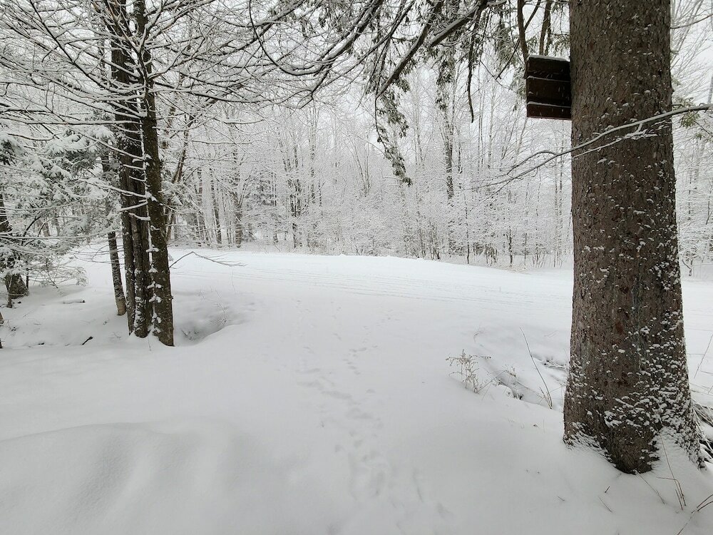 Фото Ski in & out Spruce Glen Townhomes on Great Eastern Trail