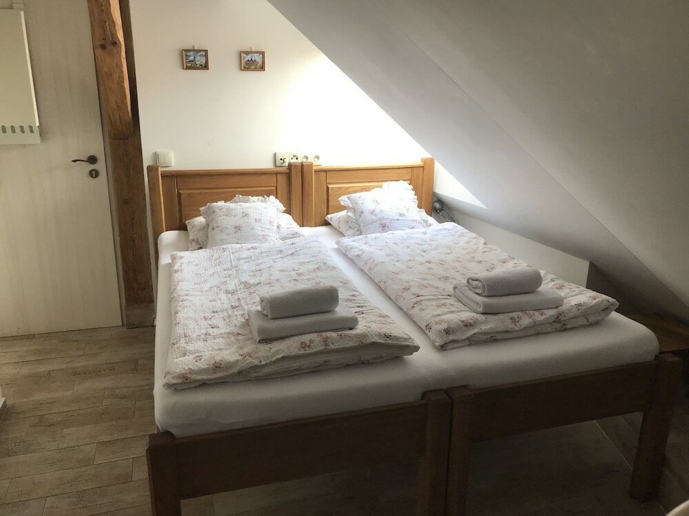 Фото House of Roses