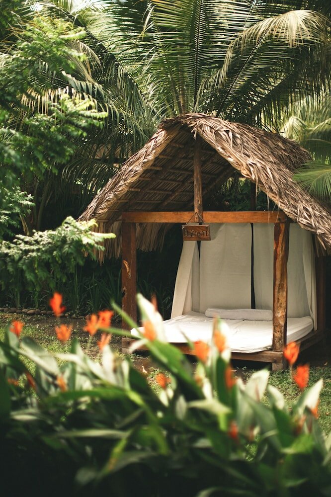 Фото Hotel Michanti