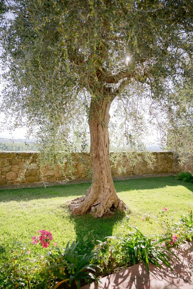 Фото Borgo Sant'Ambrogio Resort