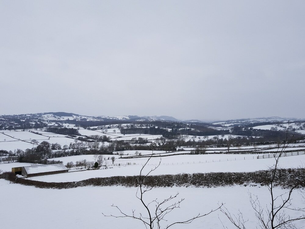 Фото The Crown Inn