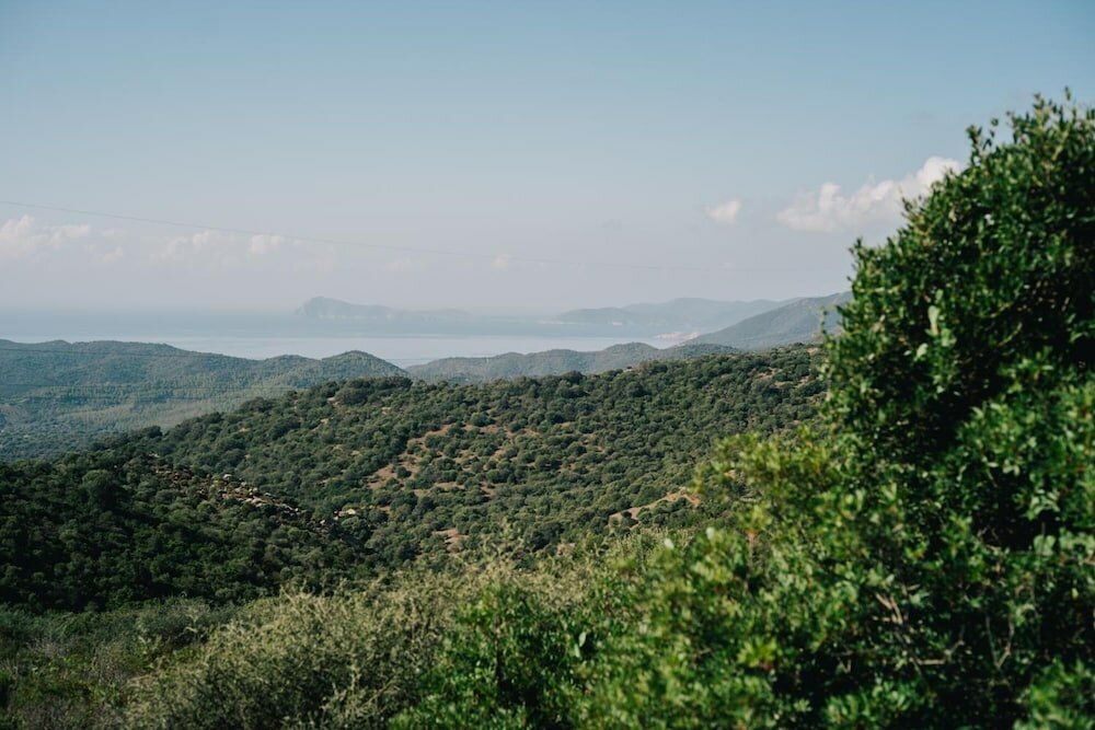 Фото Guesthouse Casavasco