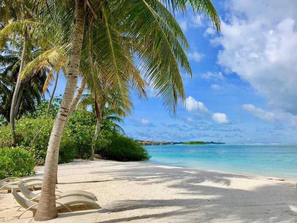 Фото Ocean Vibes Guesthouse