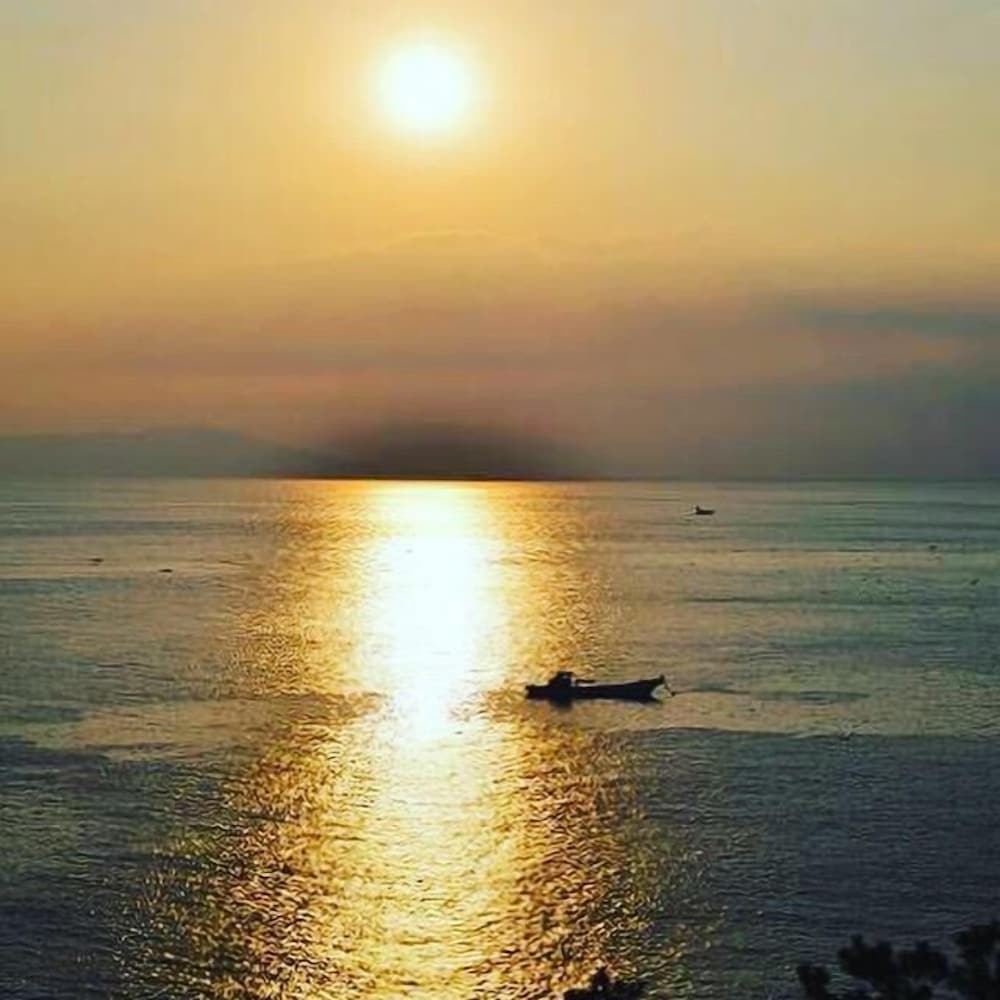 Фото Hoshi Hotel