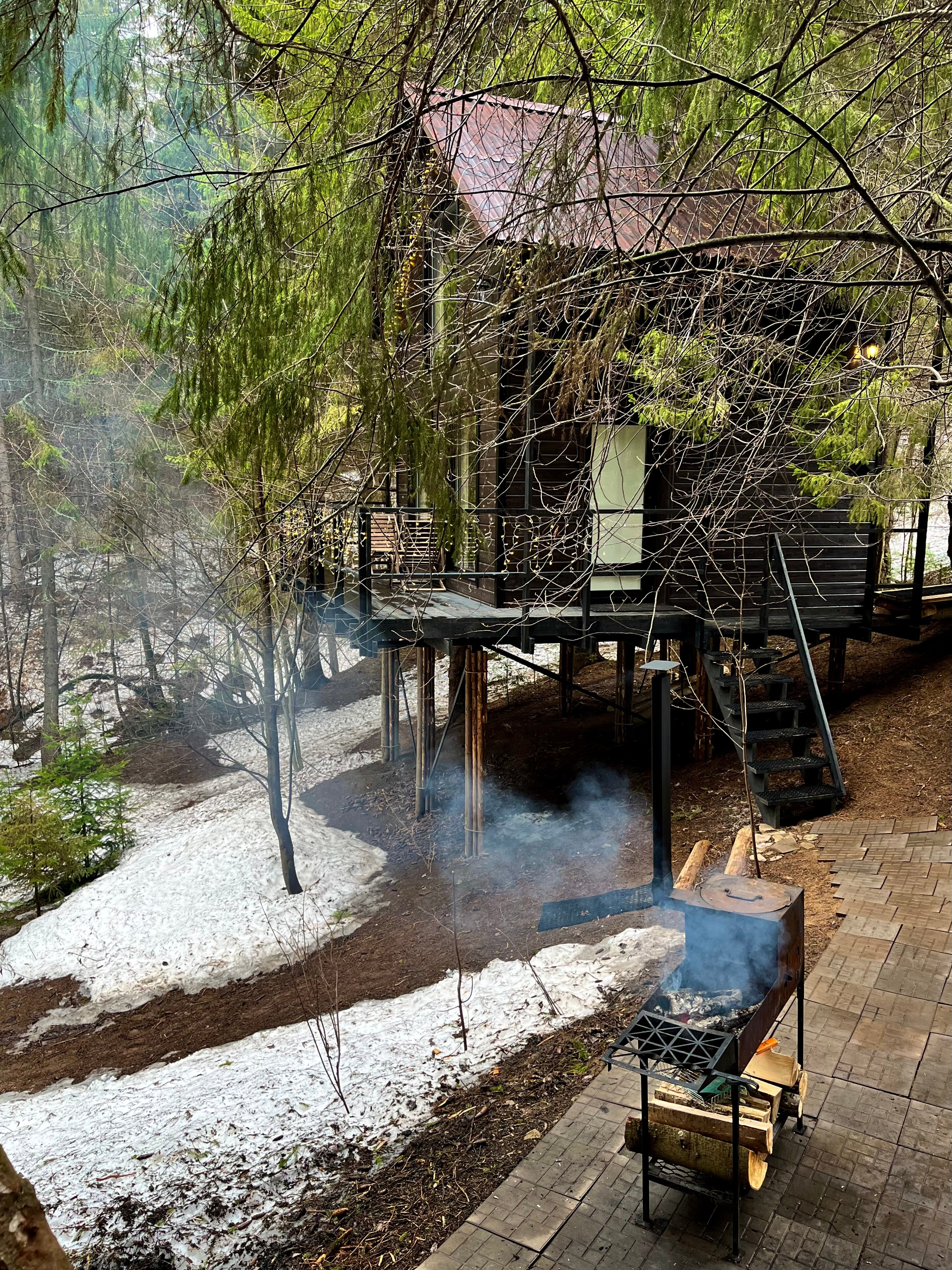 Фото Опушка