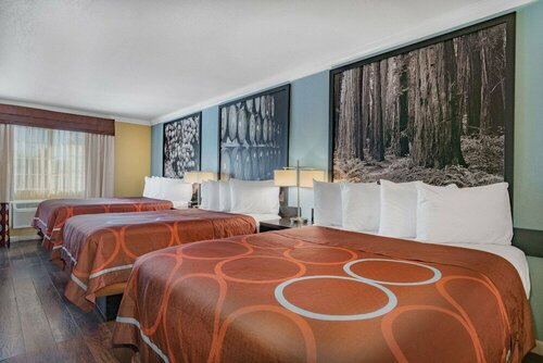 Гостиница The Orchard Hotel в Юкайа