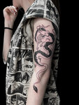 Neo Ink (Krutitskaya Street, 29), tattoo studio