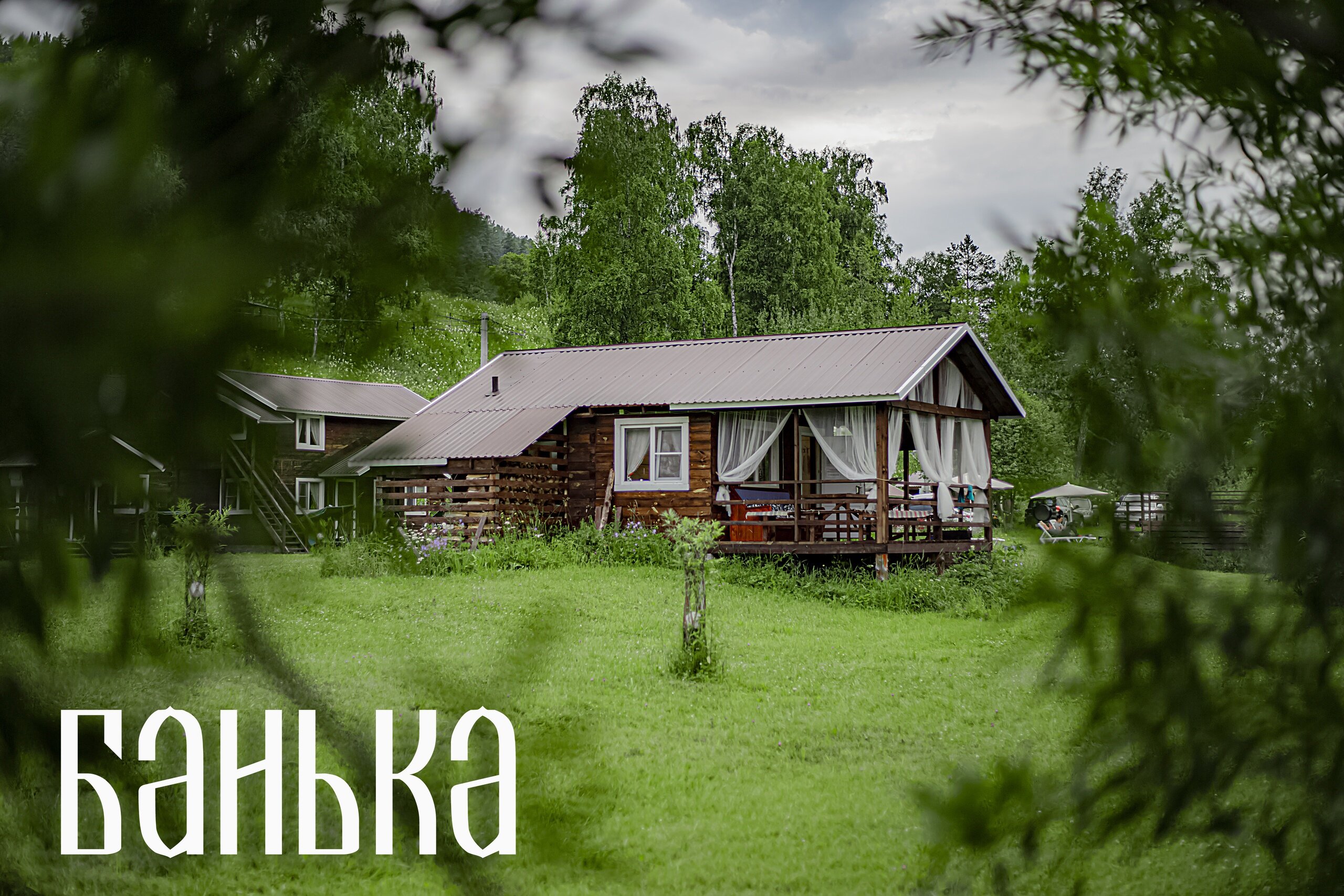 Фото Большие Коты