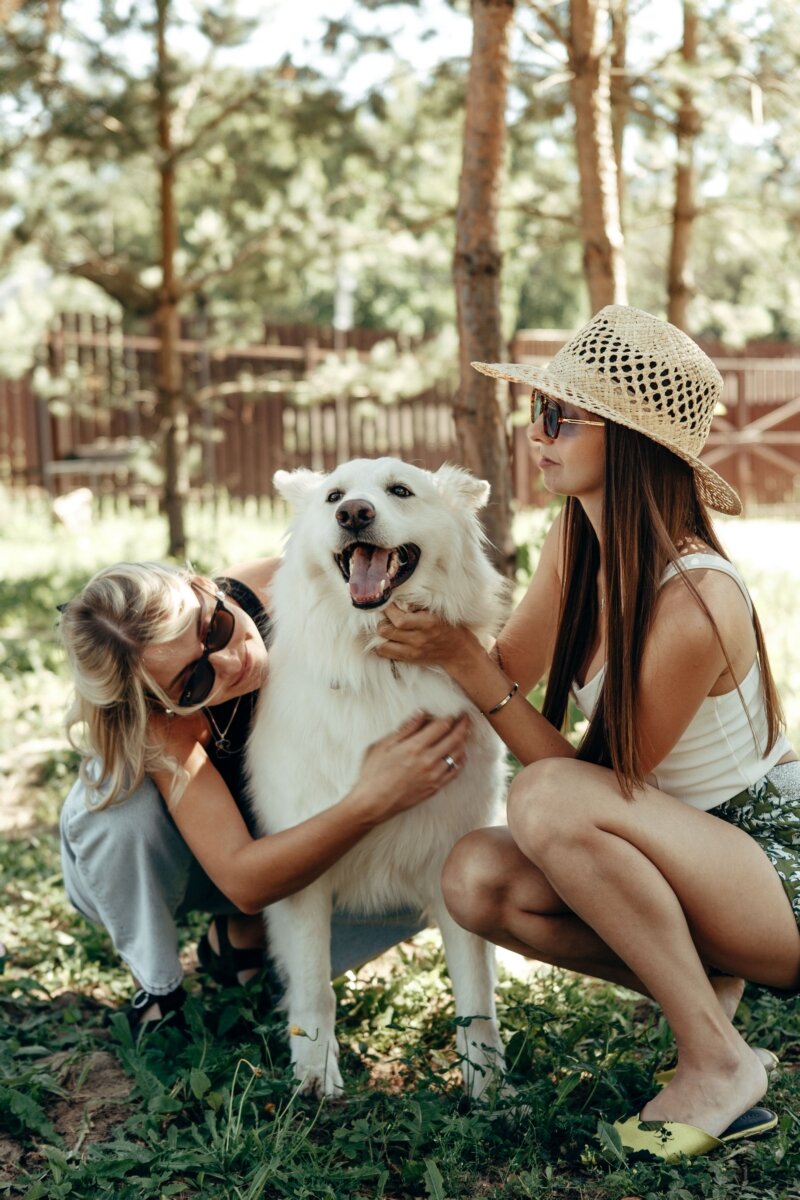 Фото Три медведя