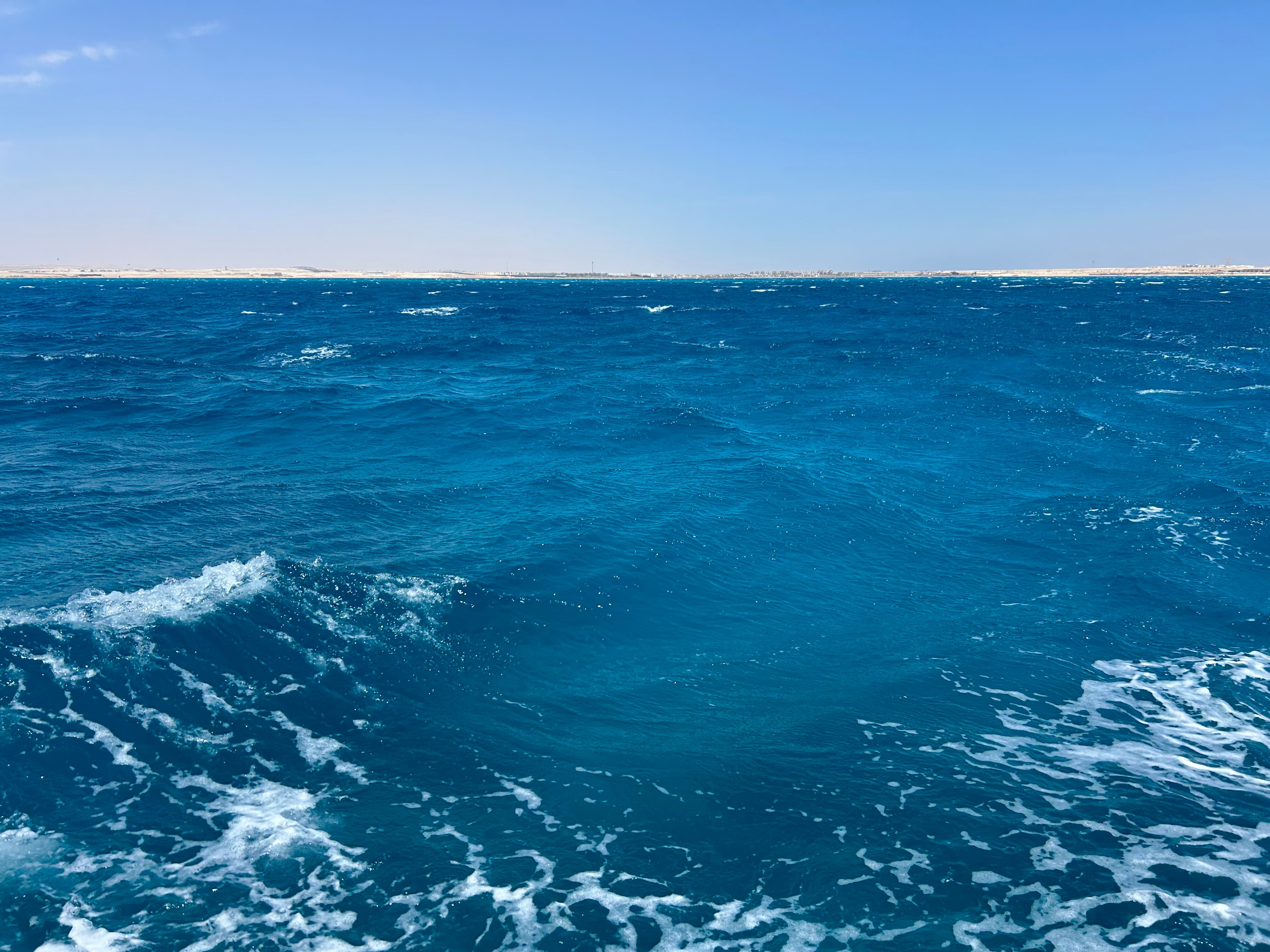 Фото Кариббиан уорлд резорт