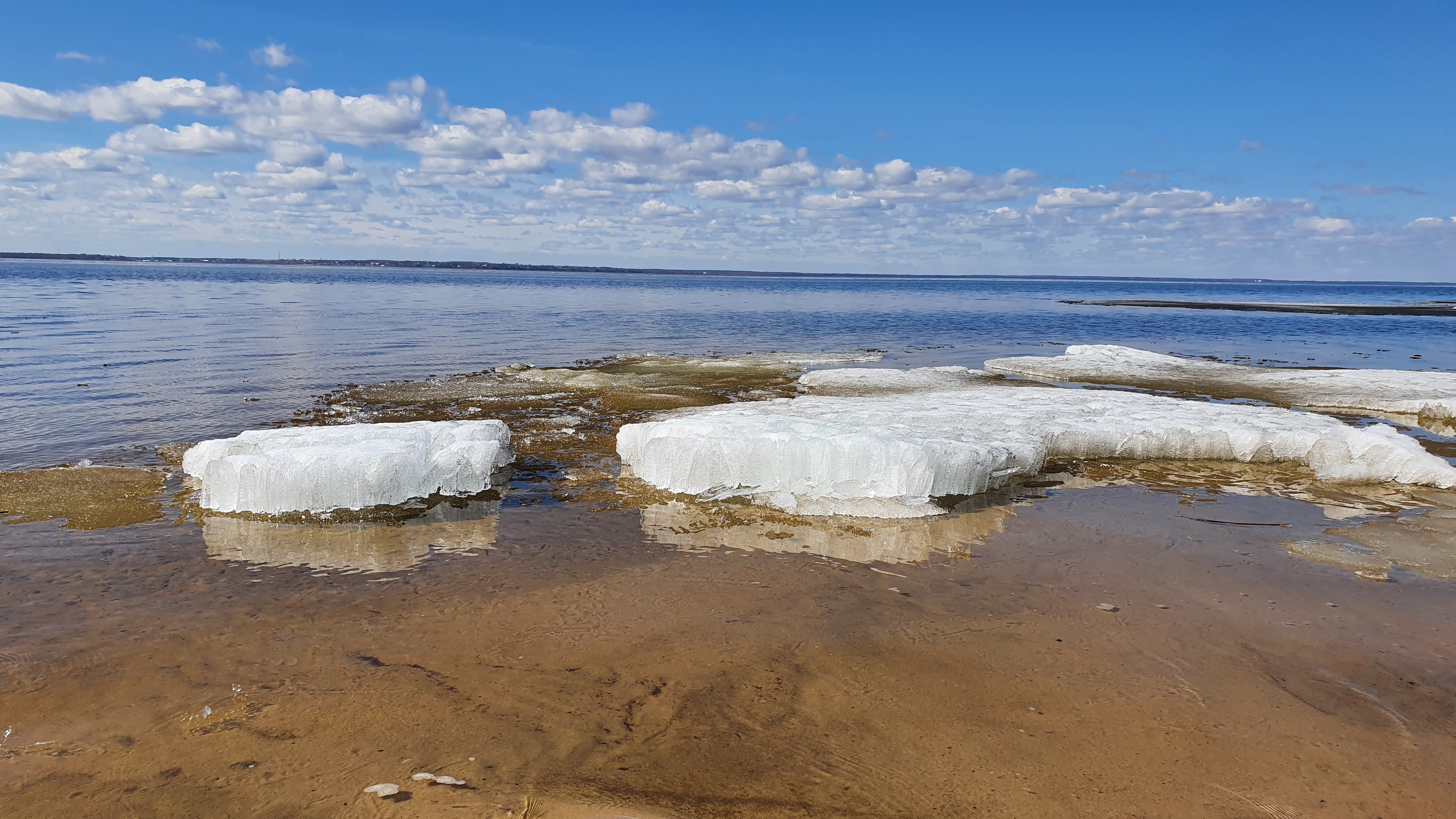 Фото Буревестник