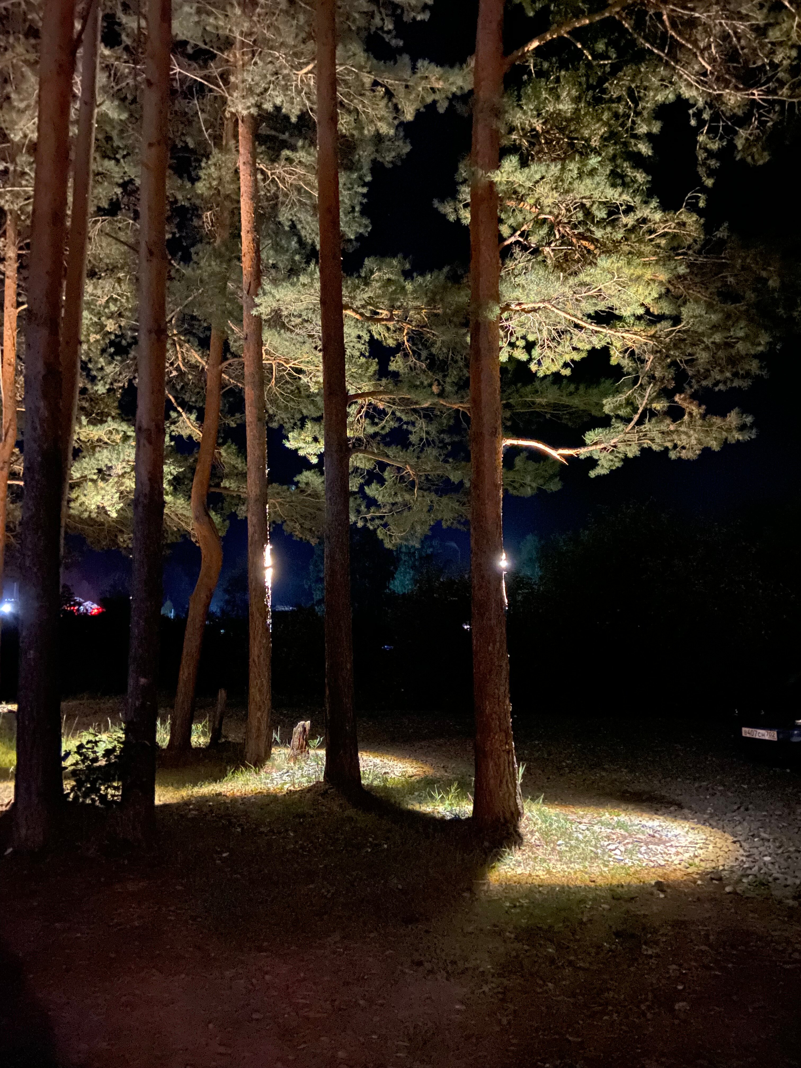 Фото Шалаш парк