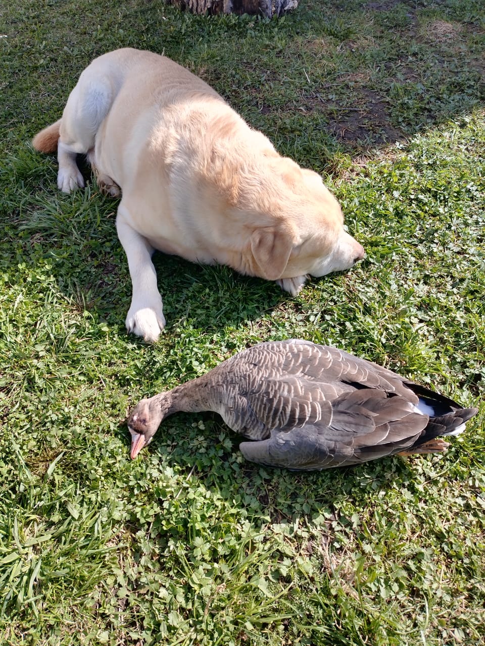 Фото На Вазузу