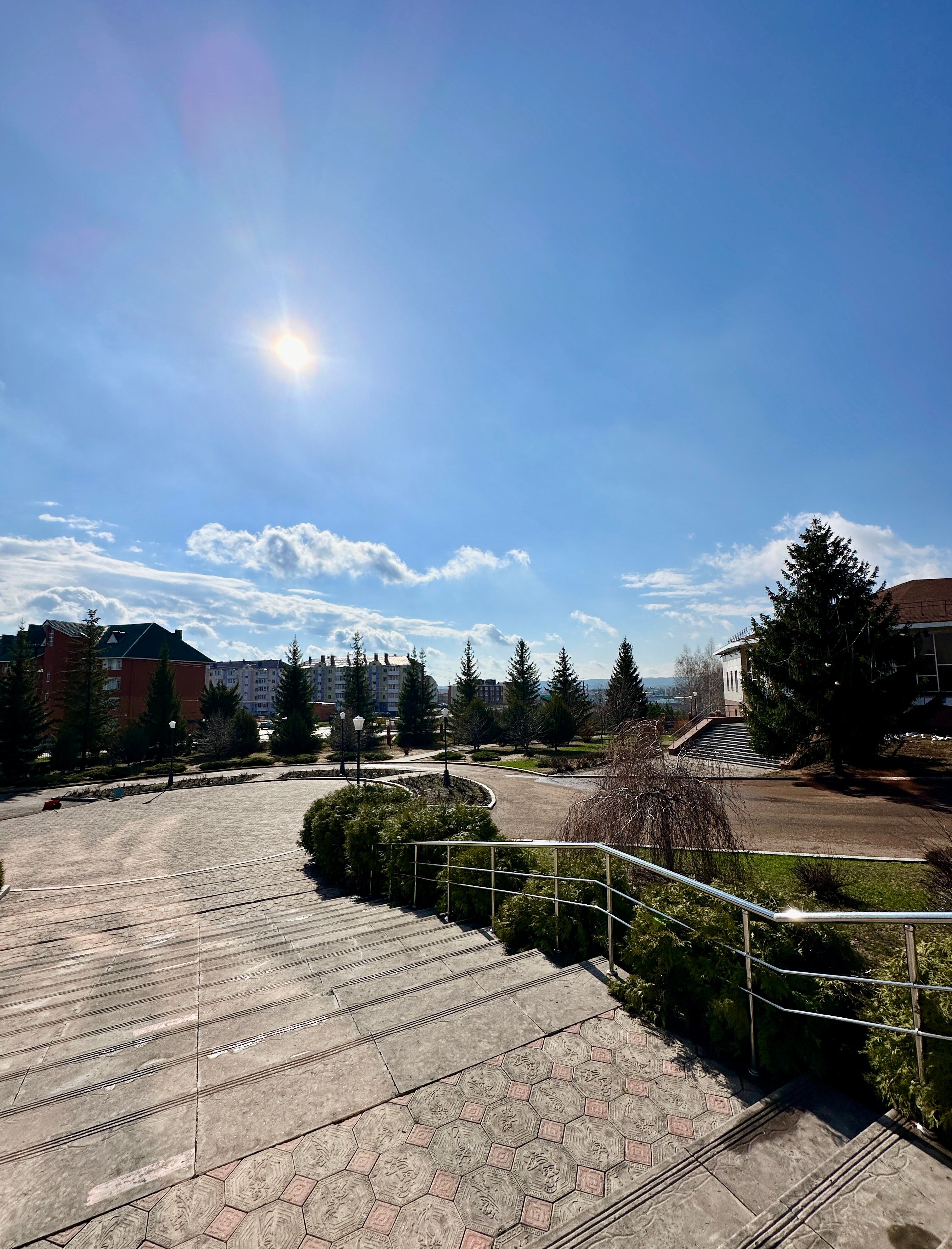 Фото Иволга