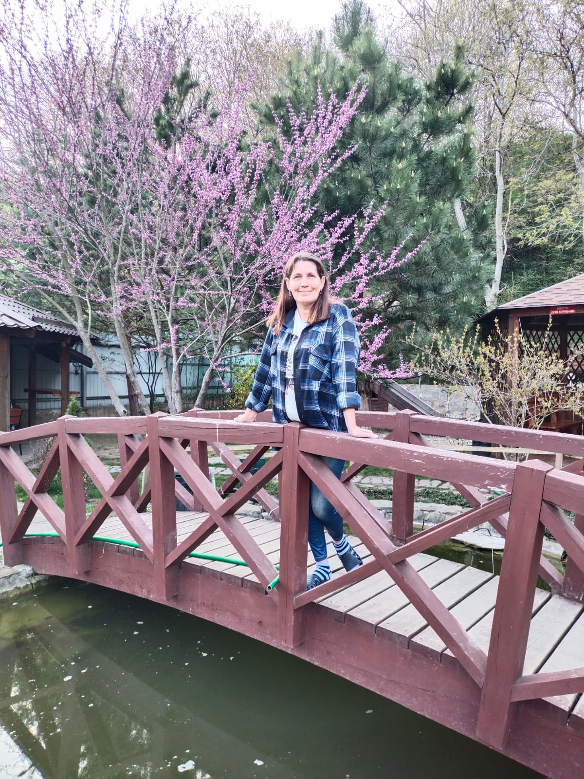 Фото Рябиновые бусы