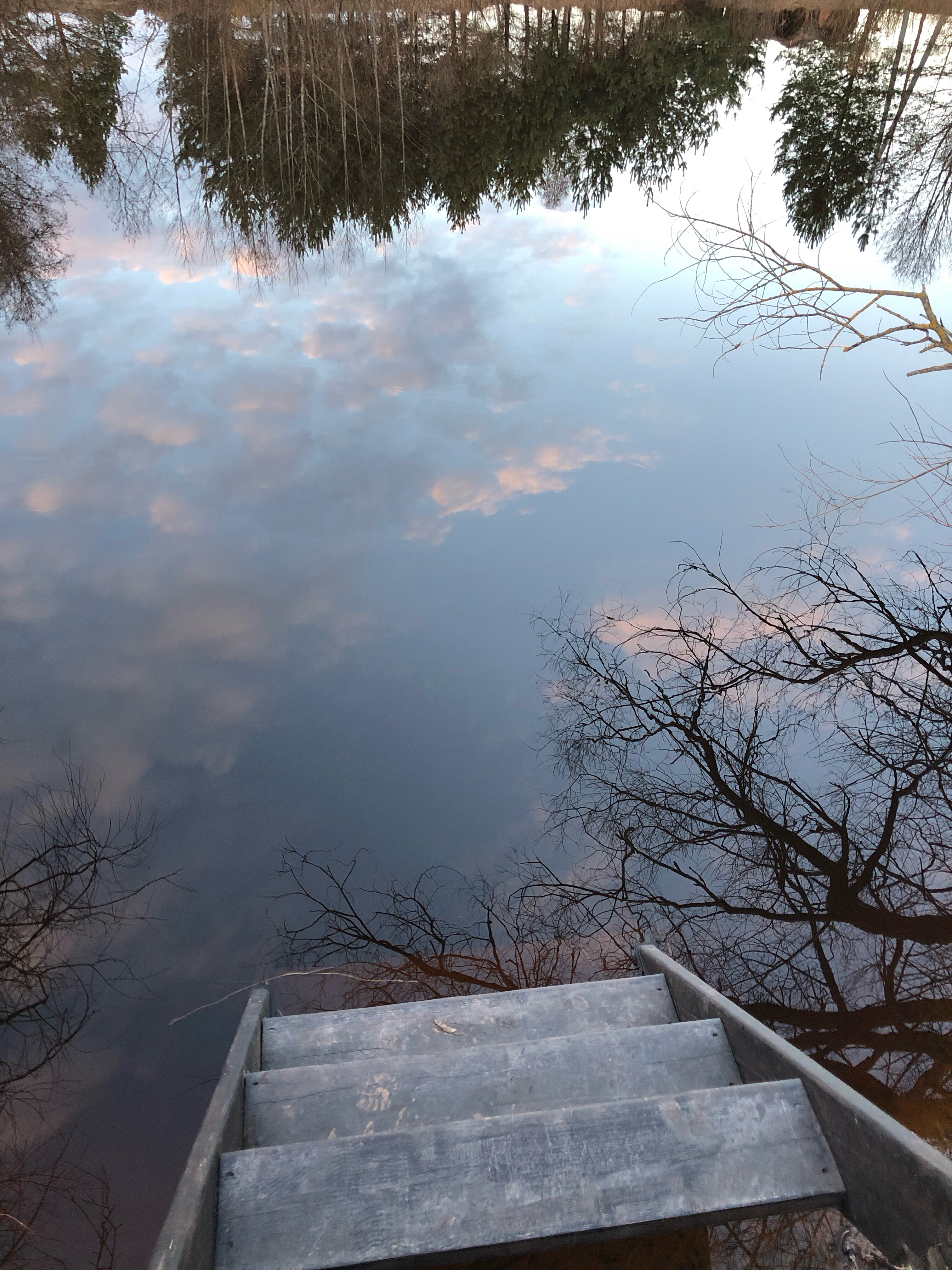 Фото Лес и луга