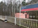 Olkinan rautatielaituri (Saint Petersburg, Primorskoye Highway) ، محطة سكة حديدية