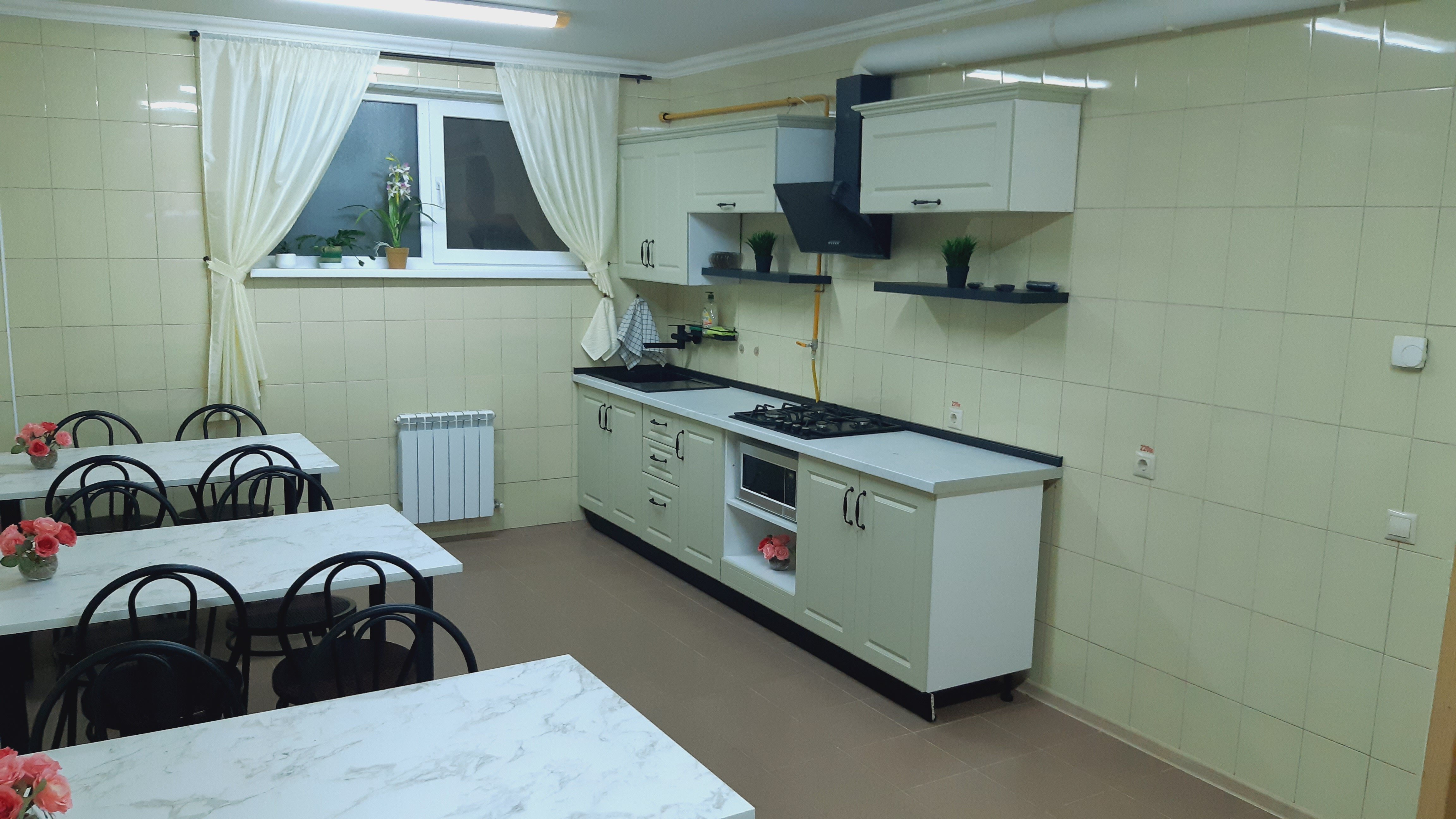 Фото Орхидея