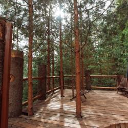 Фото Хвойная Хижина