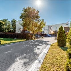 Фото Белые Росы